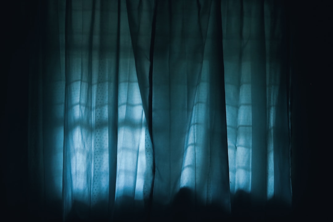 Photo curtains vs blinds