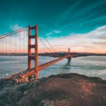 Wabi-Sabi blinds for textured, organic spaces