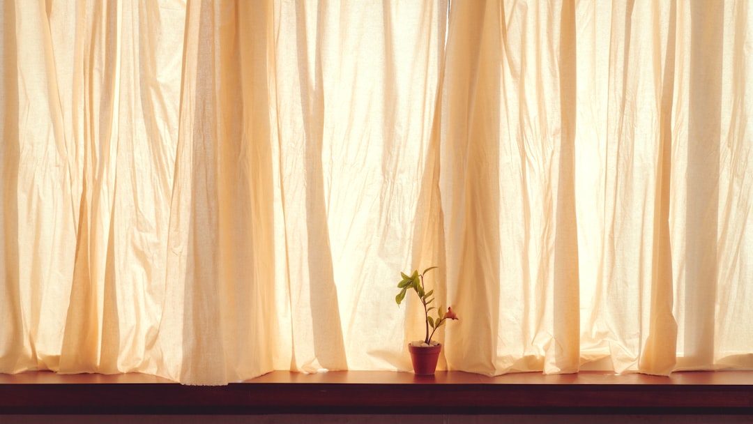 Photo smart curtains and blinds