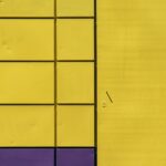 Essential Zip Blind Maintenance and Cleaning Tips