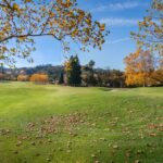 Japandi window coverings for west-facing units