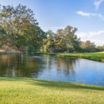 Japandi interior design for tropical climates