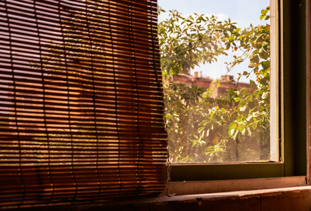 Photo bamboo roller shades