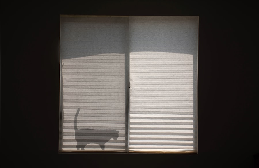 Photo roller shades