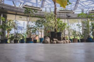 Japandi vs Wabi-Sabi for modern condos